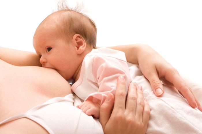 La leche materna fortalece el corazón de los bebés prematuros