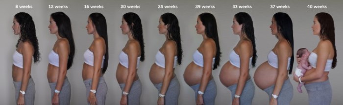 Crecimiento barriga embarazo