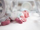 Uno de cada trece bebés que nace en España es prematuro