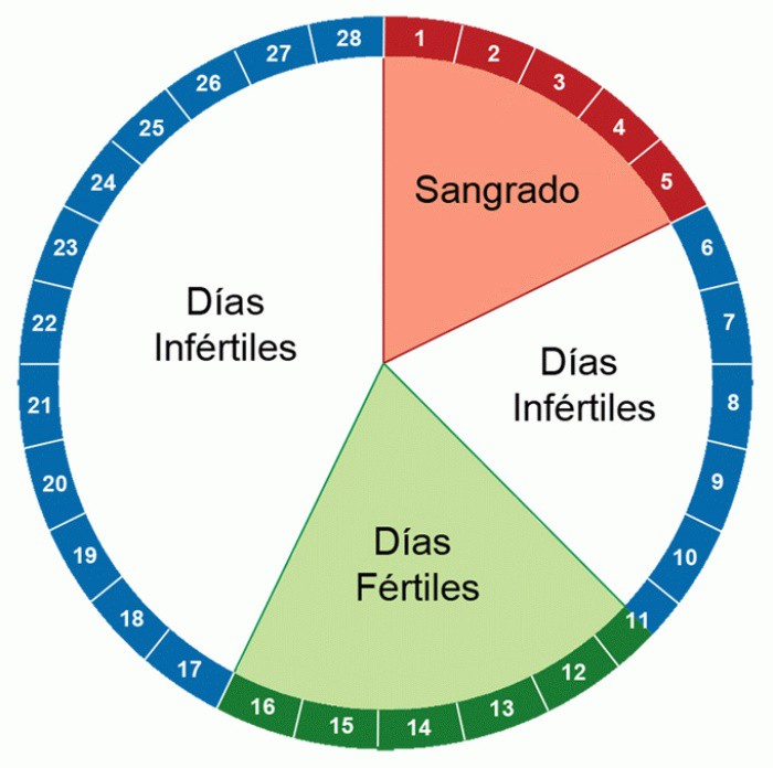 Calcular los días fértiles