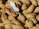 Novedades acerca de la alergia al cacahuete