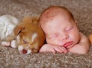Menos kilos y alergias para los bebés que conviven con perros