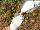 ¿Por qué mi hijo rechaza la leche? (Parte II)