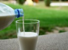 ¿Por qué mi hijo rechaza la leche?