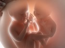 El tratamiento con progesterona reduce el riesgo de parto prematuro en los gemelos